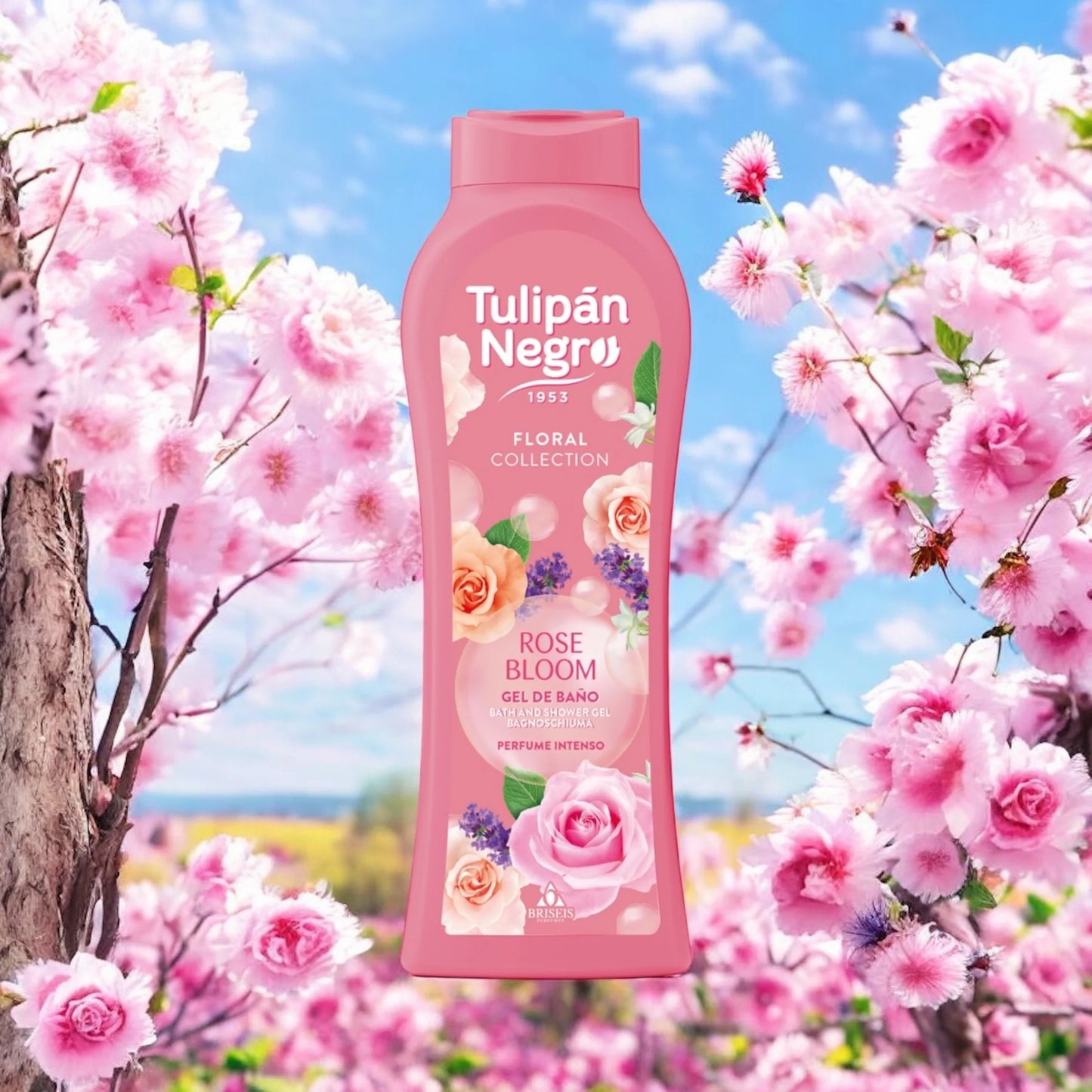 🌹🚿 Gel Douche Rose Bloom – Tulipan Negro 650 ml ✨